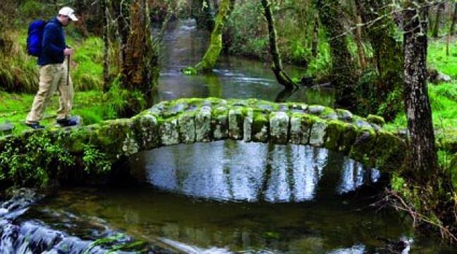 camino-santiago camino-santiago