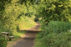 dolencias-camino-santiago