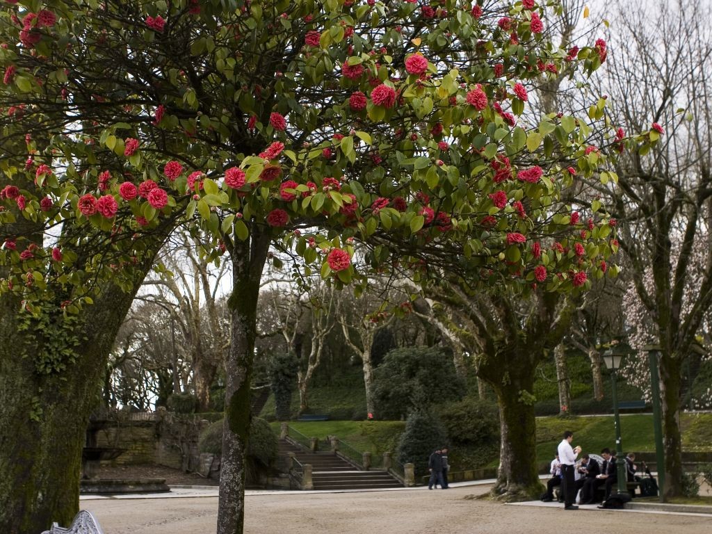 parque-alameda-en-santiago-compostela
