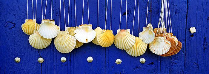 conchas-camino-santiago-curiosidades