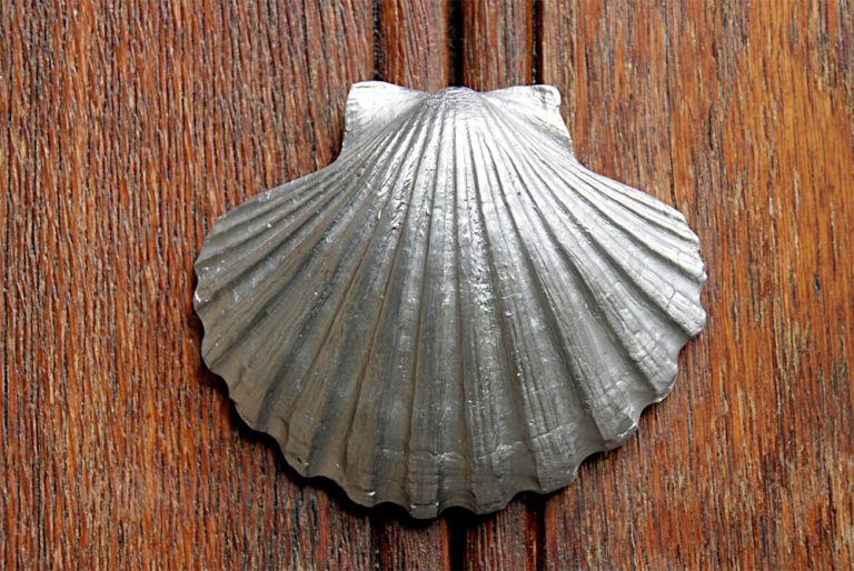 ¿Por qué la concha de vieira es un símbolo del Camino de Santiago?